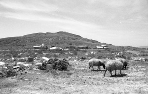 Diario di viaggio analogico - B&N