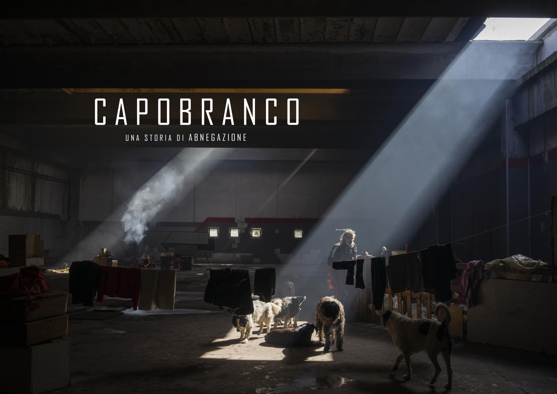 Capobranco. Una storia di abnegazione, Si stima che ogni anno in Italia siano abbandonati una media di 50.000 cani portando tra 500 e 700 mila i cani randagi ad oggi nel paese. Addomesticato a proprio uso, consumo, sevizio e diletto, il